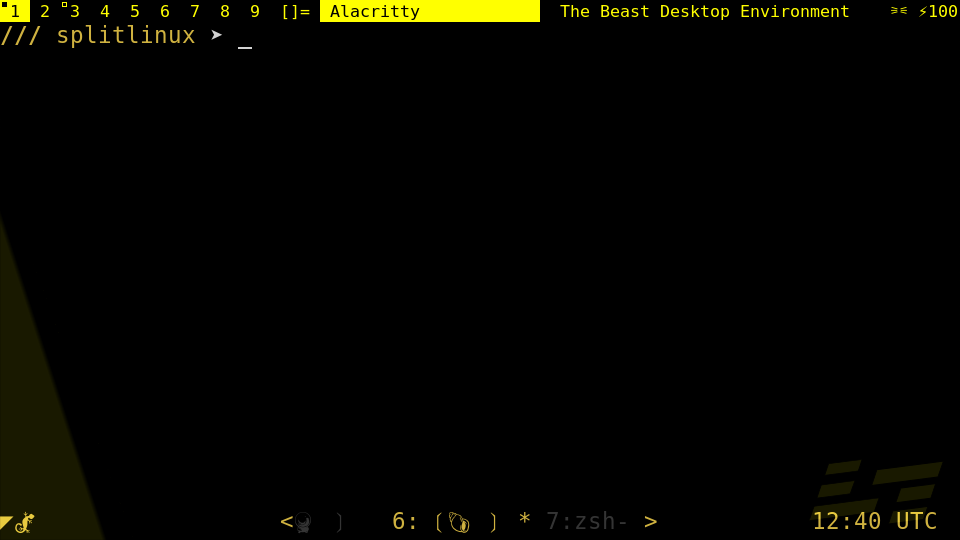 Beast console tmux in dwm